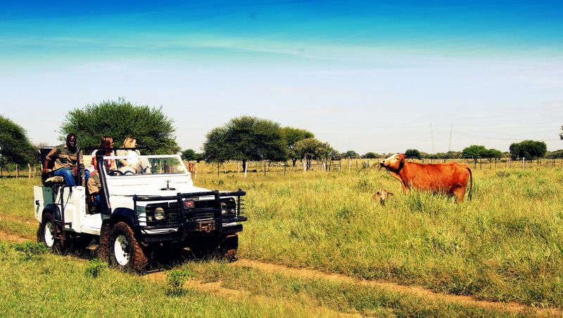 Dornhuegel Guestfarm Hotel Grootfontein Ngoại thất bức ảnh