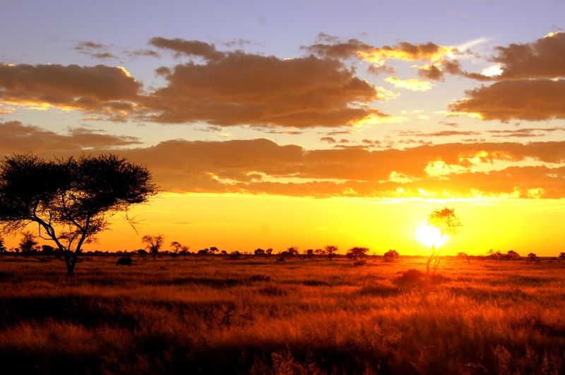 Dornhuegel Guestfarm Hotel Grootfontein Ngoại thất bức ảnh